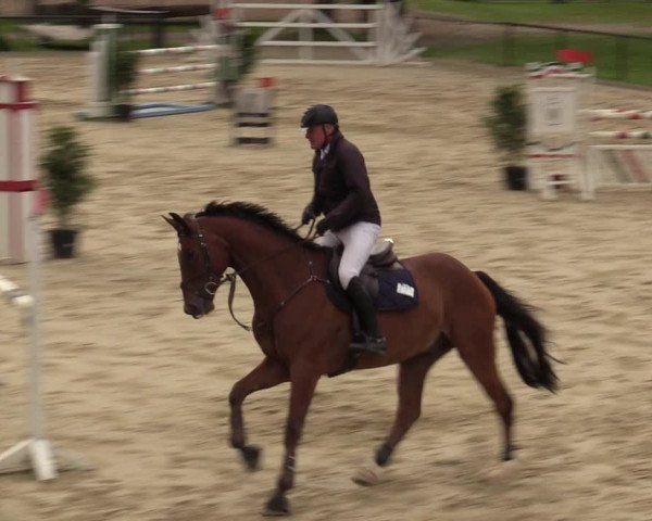 Reitturnier Hamm-Rhynern 2020