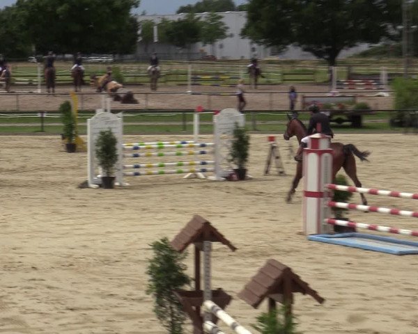 Reitturnier Hamm-Rhynern 2020