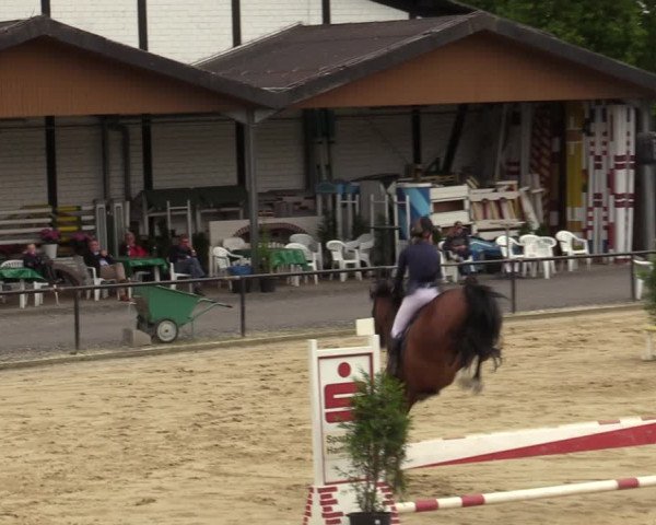 Reitturnier Hamm-Rhynern 2020