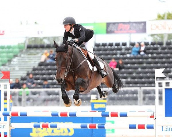 Zuchtstute West Falica (KWPN (Niederländisches Warmblut), 2003, von Perion)