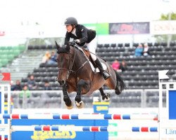broodmare West Falica (KWPN (Royal Dutch Sporthorse), 2003, from Perion)