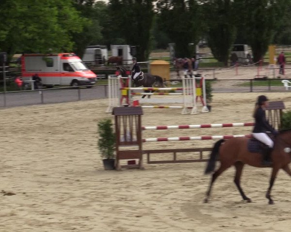 Reitturnier Hamm-Rhynern 2020