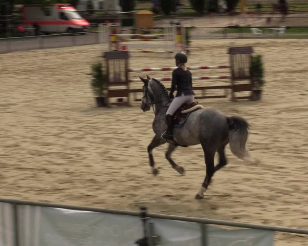 Reitturnier Hamm-Rhynern 2020