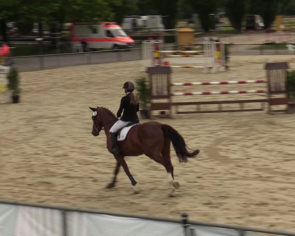 Reitturnier Hamm-Rhynern 2020