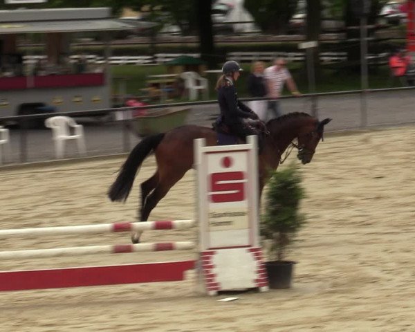 Reitturnier Hamm-Rhynern 2020