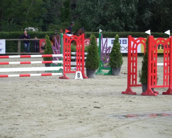 Reitturnier Münster-Handorf 2020