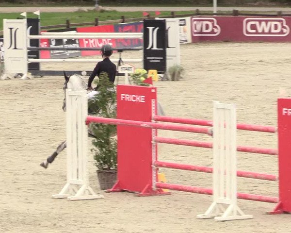 Reitturnier Westergellersen 2021