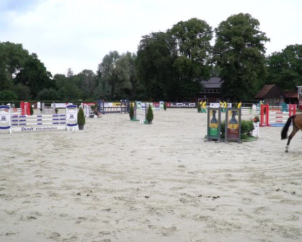 Reitturnier Münster-Handorf 2020