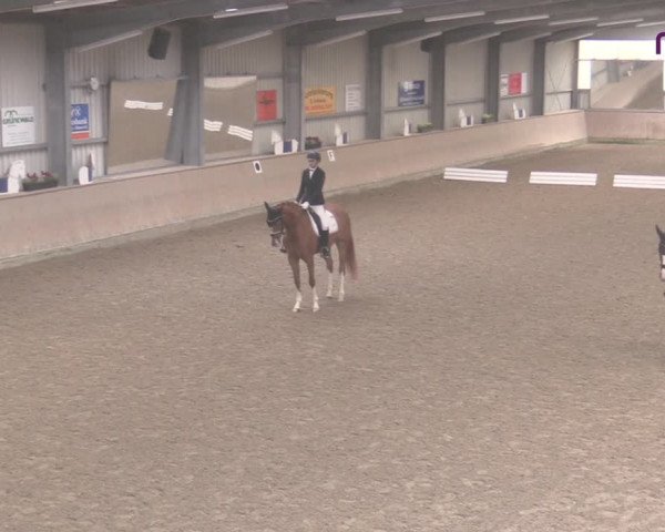 Reitturnier Ahaus 2020