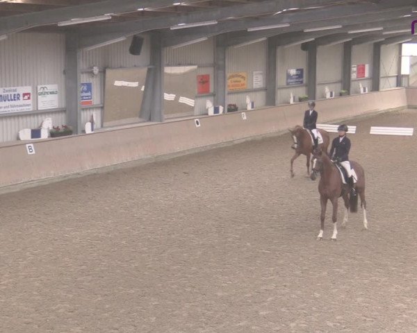 Reitturnier Ahaus 2020