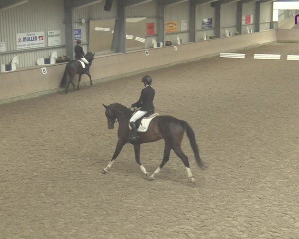 Reitturnier Ahaus 2020