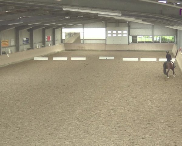 Reitturnier Ahaus 2020