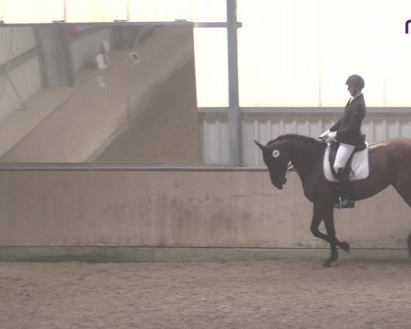 Reitturnier Ahaus 2020