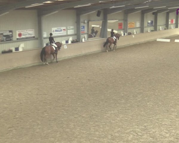 Reitturnier Ahaus 2020