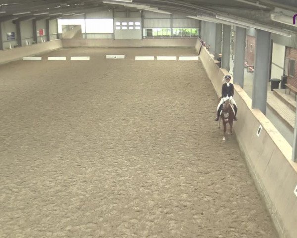 Reitturnier Ahaus 2020