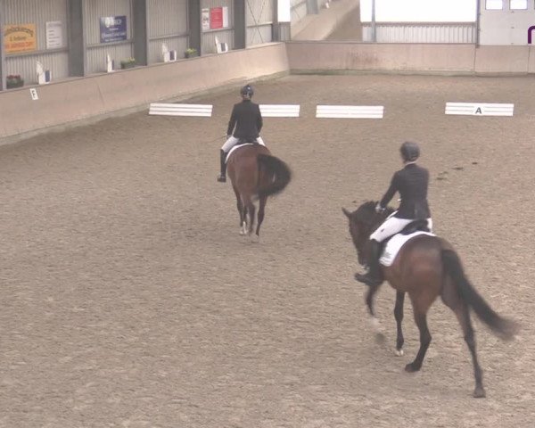 Reitturnier Ahaus 2020