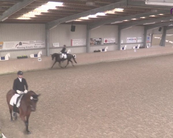 Reitturnier Ahaus 2020