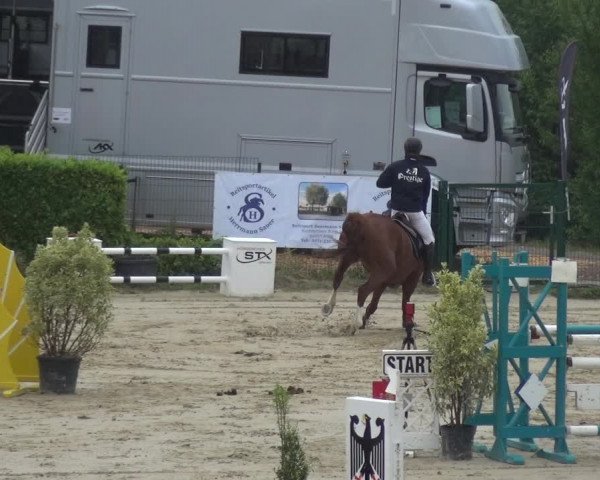Reitturnier Lindlar-Süttenbach 2020