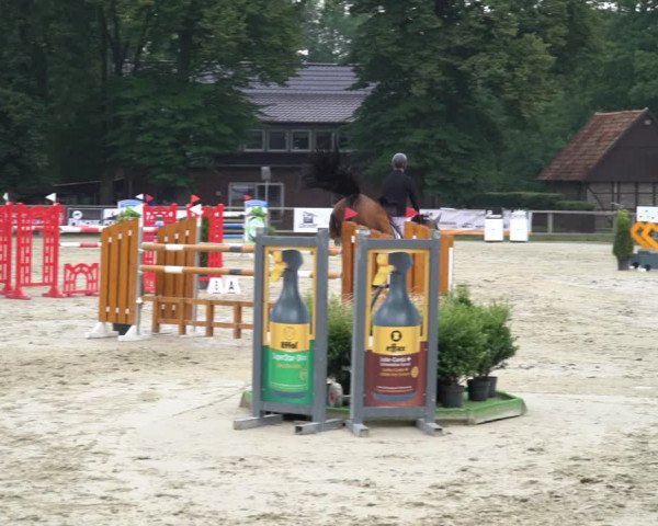 Reitturnier Münster-Handorf 2020