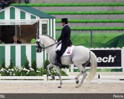 dressage horse Ben Hur Da Broa (Lusitano, 2006, from Quinteiro Da Broa)