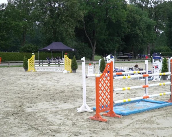Reitturnier Münster-Handorf 2020