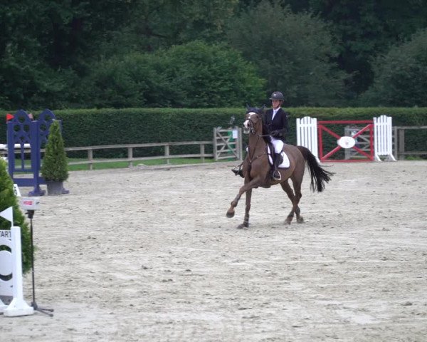 Reitturnier Münster-Handorf 2020