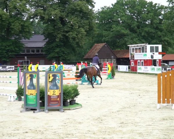 Reitturnier Münster-Handorf 2020