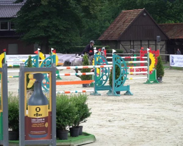 Reitturnier Münster-Handorf 2020