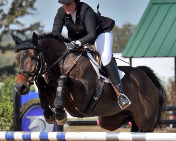 horse Carla 133 (Holsteiner, 2006, from Cartani 4)