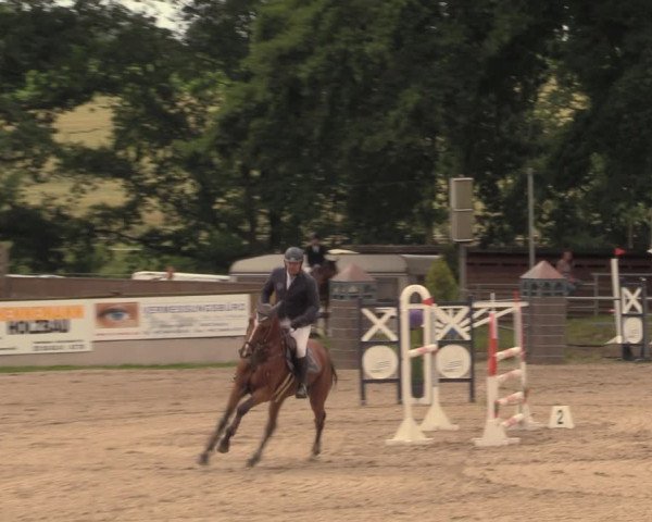 Reitturnier Lgl.-Oberhain, B95 2020