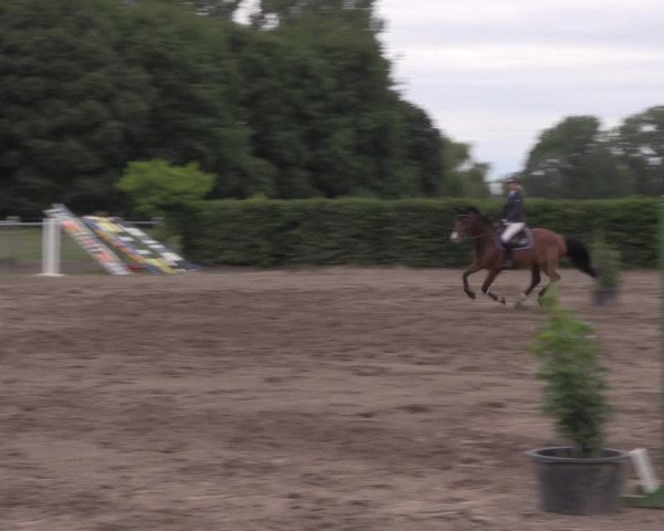 Reitturnier Lentzke - Reitanlage Krehl 2020