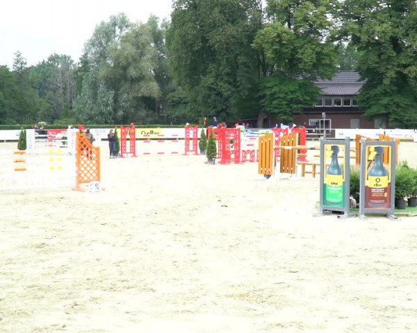Reitturnier Münster-Handorf 2020