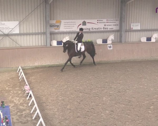 Reitturnier Ahaus 2020