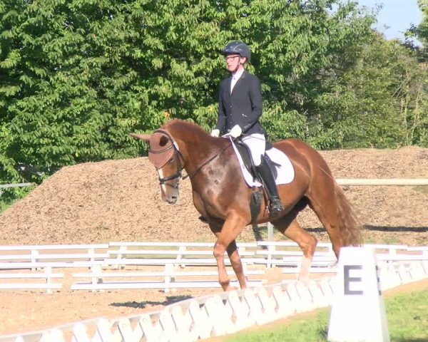 Reitturnier Reilingen 2021