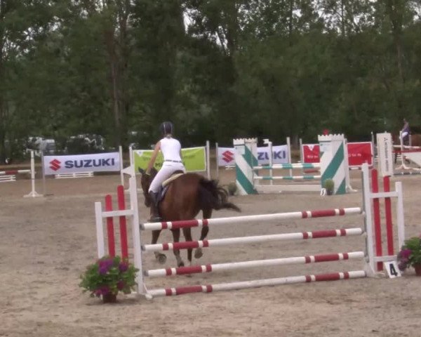 Reitturnier Kleinostheim/Ufr. 2020