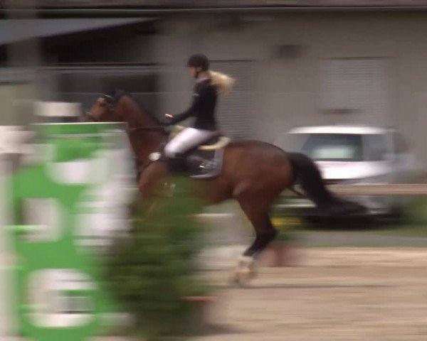 Reitturnier Kleinostheim/Ufr. 2020