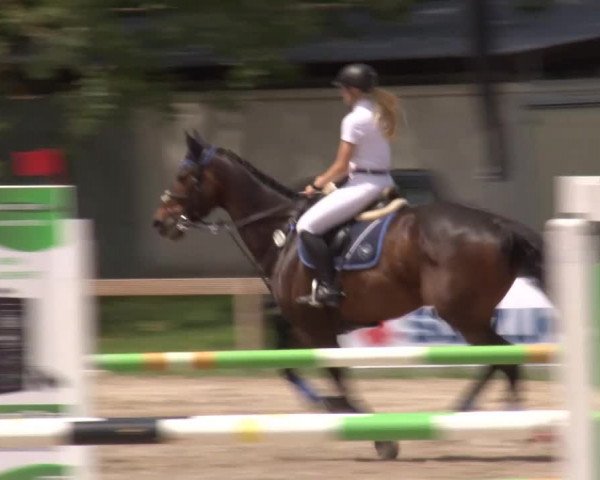 Reitturnier Kleinostheim/Ufr. 2020
