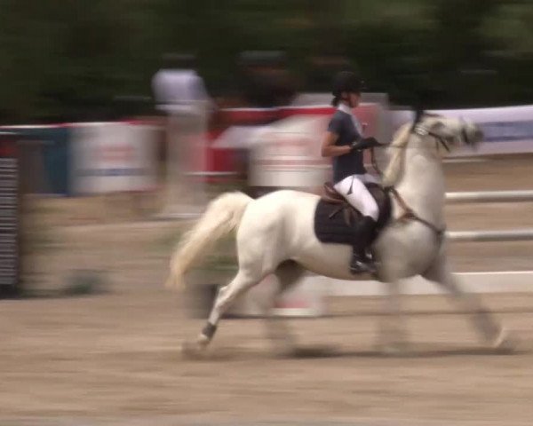 Reitturnier Kleinostheim/Ufr. 2020