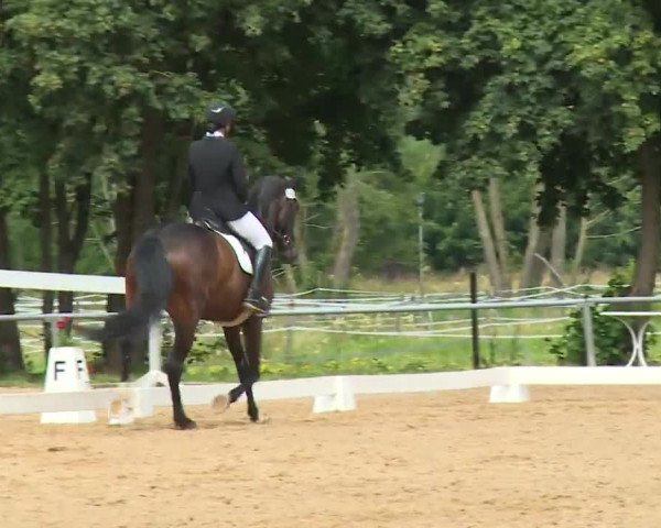 Reitturnier Babenhausen/Schw. 2020