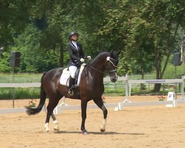 Reitturnier Babenhausen/Schw. 2020