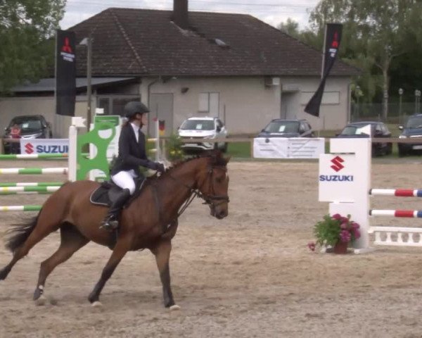 Reitturnier Kleinostheim/Ufr. 2020