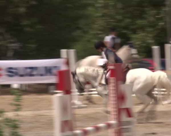 Reitturnier Kleinostheim/Ufr. 2020