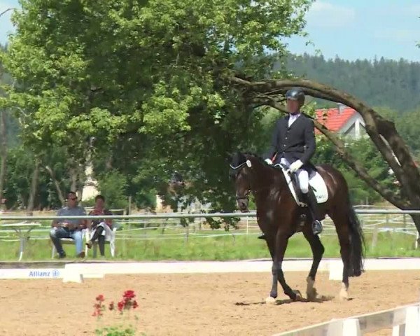 Reitturnier Babenhausen/Schw. 2020