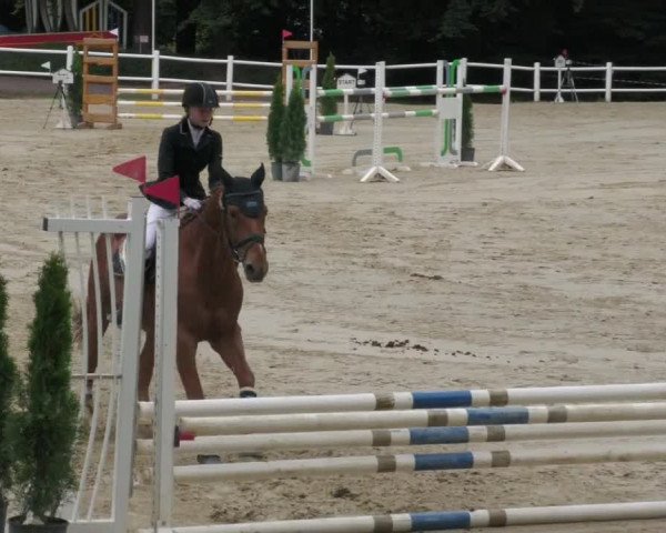 Reitturnier Losheim 2020