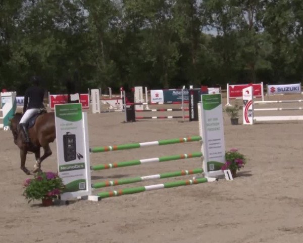 Reitturnier Kleinostheim/Ufr. 2020