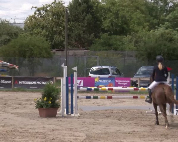 Reitturnier Kleinostheim/Ufr. 2020
