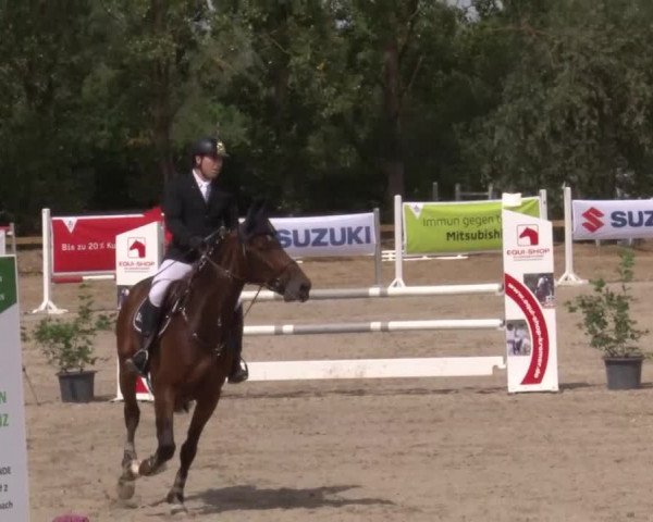 Reitturnier Kleinostheim/Ufr. 2020