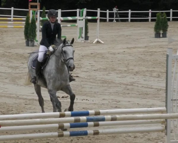 Reitturnier Losheim 2020