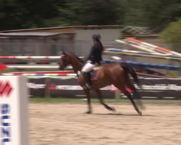 Reitturnier Kleinostheim/Ufr. 2020