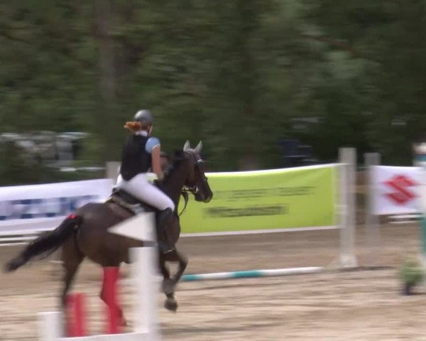 Reitturnier Kleinostheim/Ufr. 2020